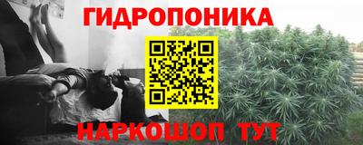 бошки Лесосибирск