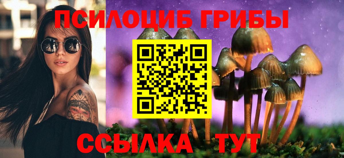продажа наркотиков  Галлюциногенные грибы MAGIC MUSHROOMS  Вход с VPN  Железноводск 